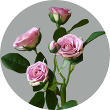 Five Headed Rose Flower Stick