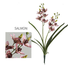 Two headed Orchid Flower Single Stick