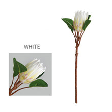 Emperor Flower Stick (Set of 2)