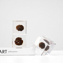 Plant Resin Cube Decor