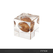 Plant Resin Cube Decor