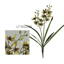 Two headed Orchid Flower Single Stick
