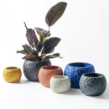 Spherical Ceramic Flowerpot