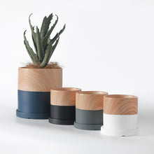 Wooden finish bonsai planter | - Decorfur