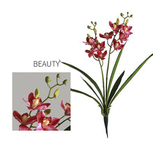 Two headed Orchid Flower Single Stick