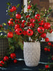Pomegranate Fruit Artificial Flower