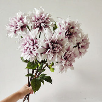 Petal Mirage/Decorfur
