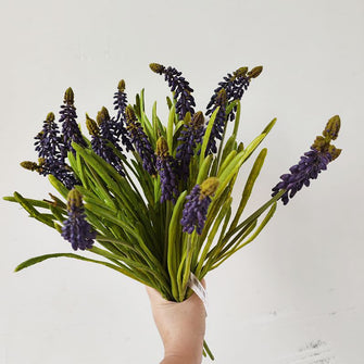 Hush Hyacinth/Decorfur