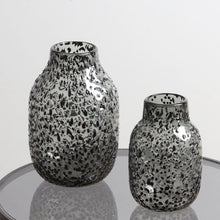 Black Spot Hydroponic Glass Vase