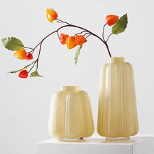 Double-Layer Thickened Glass Vase