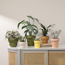 Artistic Scandinavian Planters/Decorfur