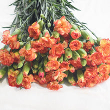 Multi-Headed Carnations Flower Sticks (Bunch)