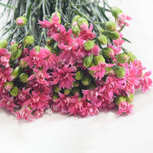 Multi-Headed Carnations Flower Sticks (Bunch)