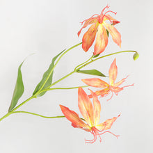Flame Lily Flower Stick
