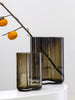 Double Cylindrical Transparent Vase