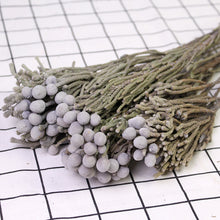 Dried Silver Coral Artificial Flowers (Single Stick)