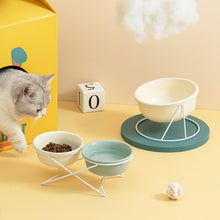 Double Food Bowl With Stand