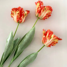 Parrot Tulip Silk Artificial Flower (Set of 2)