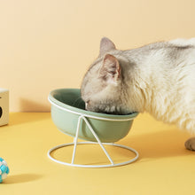 Double Food Bowl With Stand