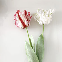 Parrot Tulip Silk Artificial Flower (Set of 2)