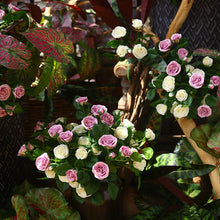 Five Headed Rose Flower Stick