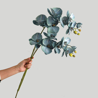 Phalaenopsis Flower Stick (Set of 2)