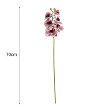 Orchids Artificial Flower (Set of 2)