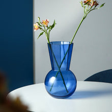 Belly Transparent Glass Vase