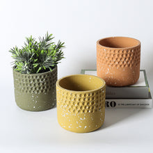 Cement Hammered Spotted Planter