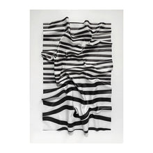 Zebra Print 3D Painting