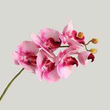 Orchids Artificial Flower (Set of 2)