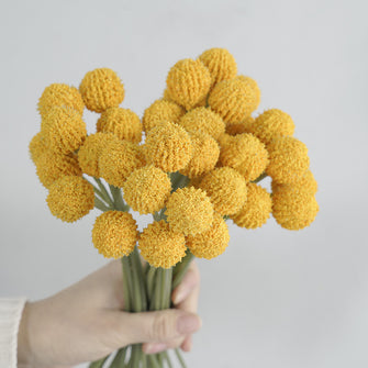 Golden Mallet Flower Stick