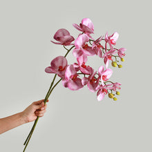 Phalaenopsis Flower Stick (Set of 2)